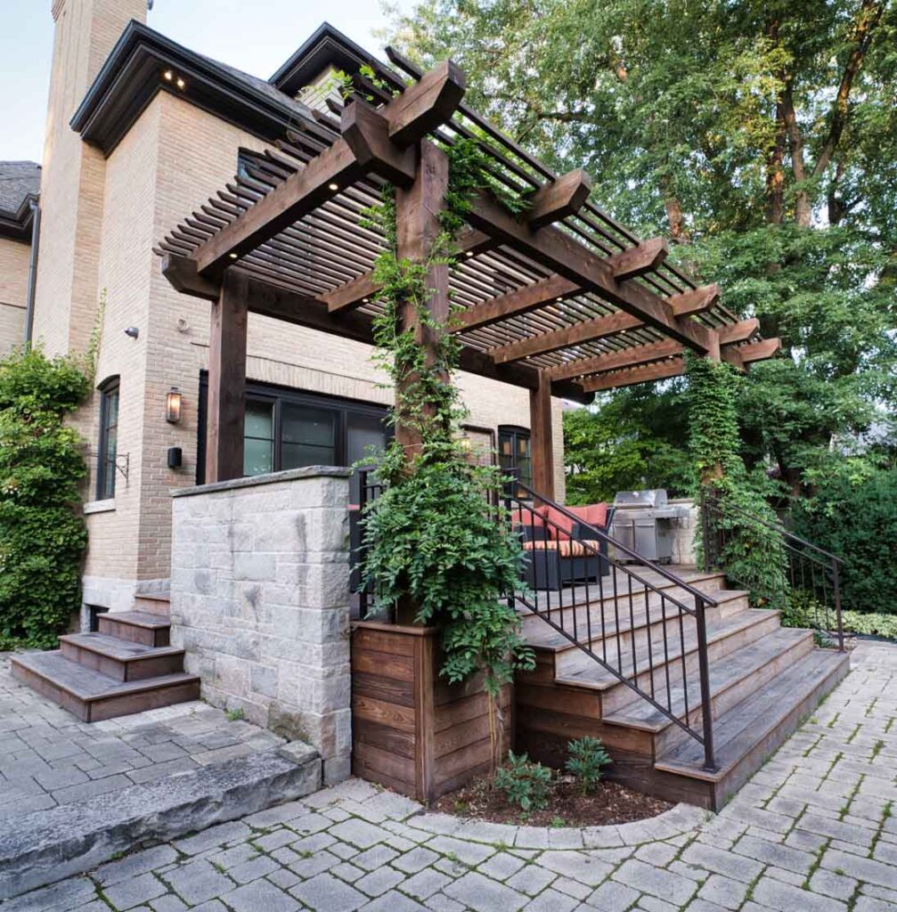 Heat-treated deck with a timber pergola covered in ivy for soft, natural shade in the backyard